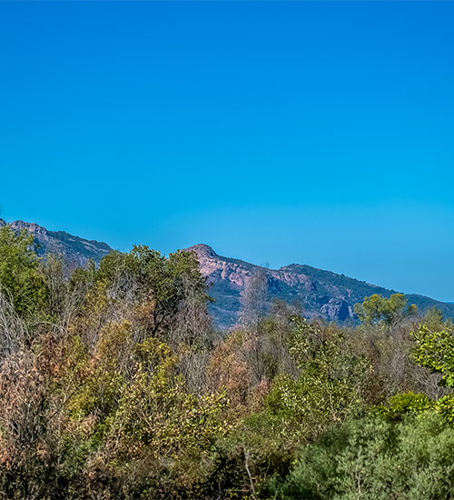 puget sur argens var