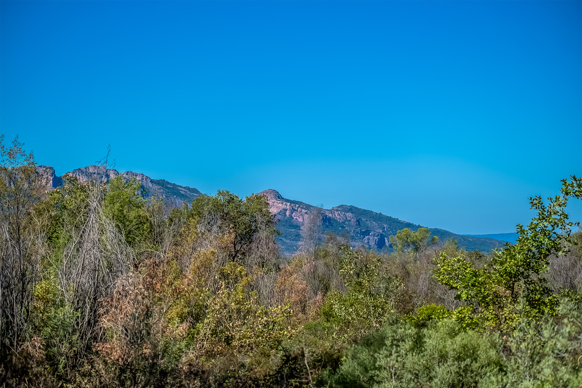 puget sur argens var