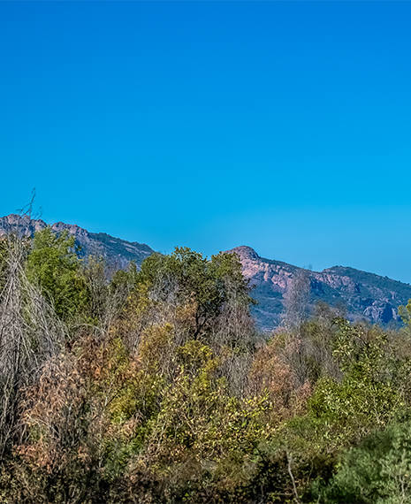 vacances camping vers puget sur argens